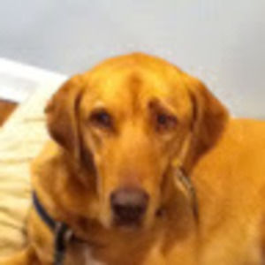 Meet your Posher, Kaden